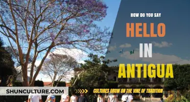 Greetings in Antigua: How to Say Hello Like a Local