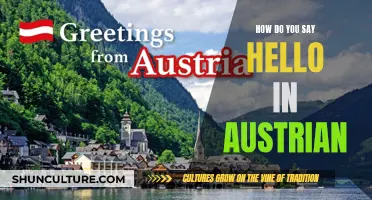 Greetings in Austria: The Many Ways to Say Hello