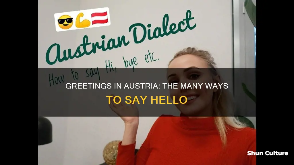 how do you say hello in austrian