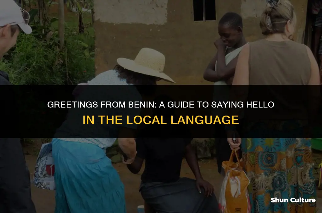 how do you say hello in benin