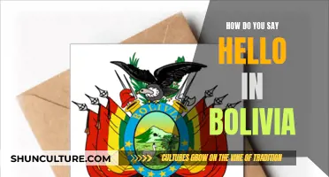 Greetings in Bolivia: How to Say Hello in the Country