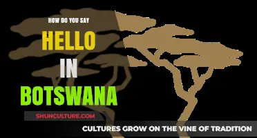 Greetings in Botswana: How to Say Hello Like a Local