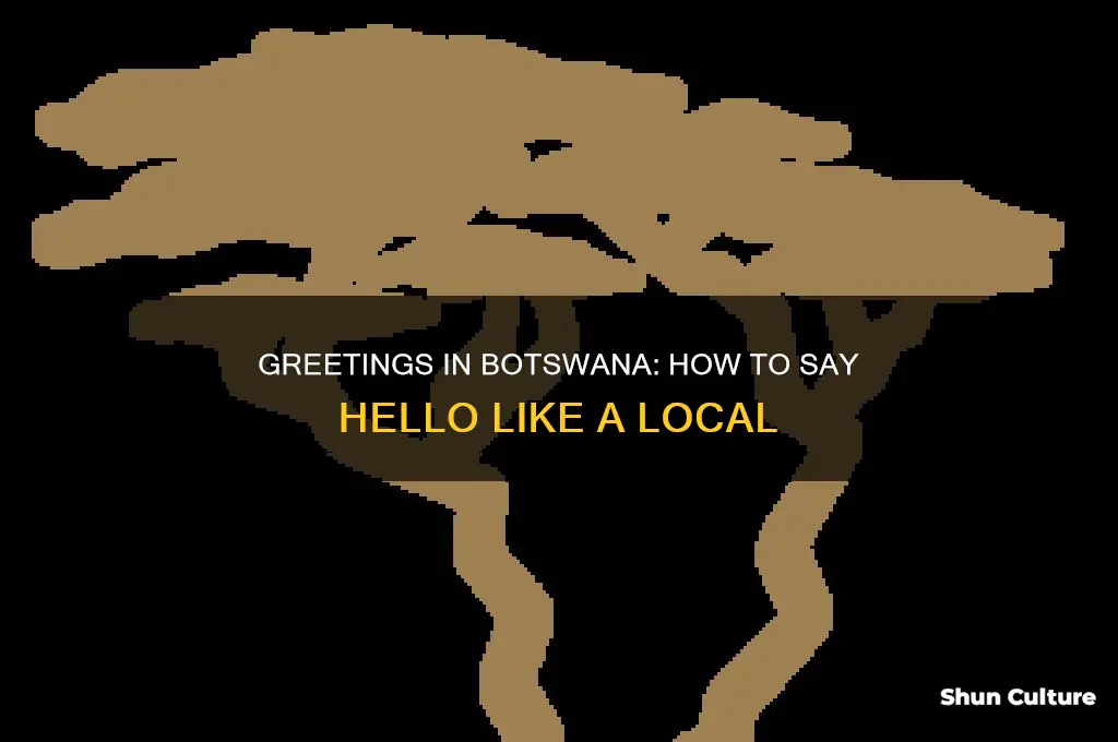 how do you say hello in botswana