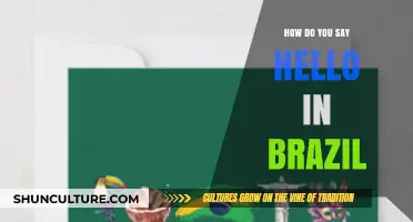 Greetings in Brazil: How to Say Hello Like a Local