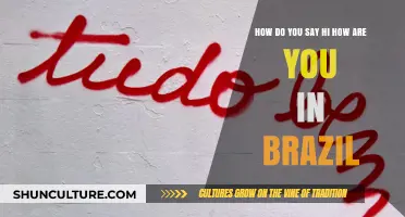Greetings in Brazil: How to Say 'Hi, How Are You?' Like a Local