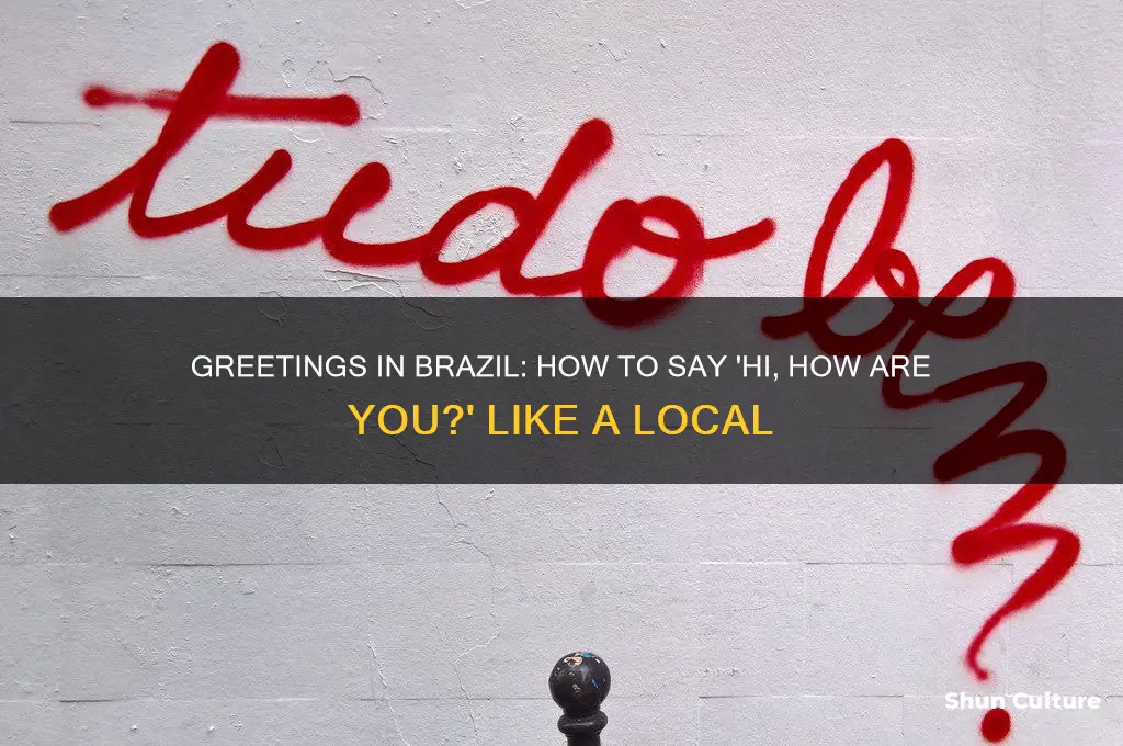 how do you say hi how are you in brazil