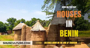 Exploring Housing Terminology in Benin: A Linguistic Journey