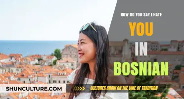 Expressing 'I Hate You' in Bosnian: A Quick Language Guide