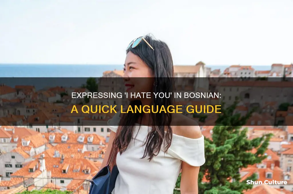 how do you say I hate you in bosnian