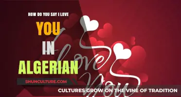 Expressing Love in Algerian Arabic: How to Say 'I Love You' Authentically