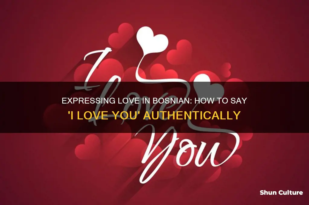how do you say I love you in bosnian