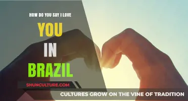 Expressing Love in Brazil: How to Say 'I Love You' in Portuguese