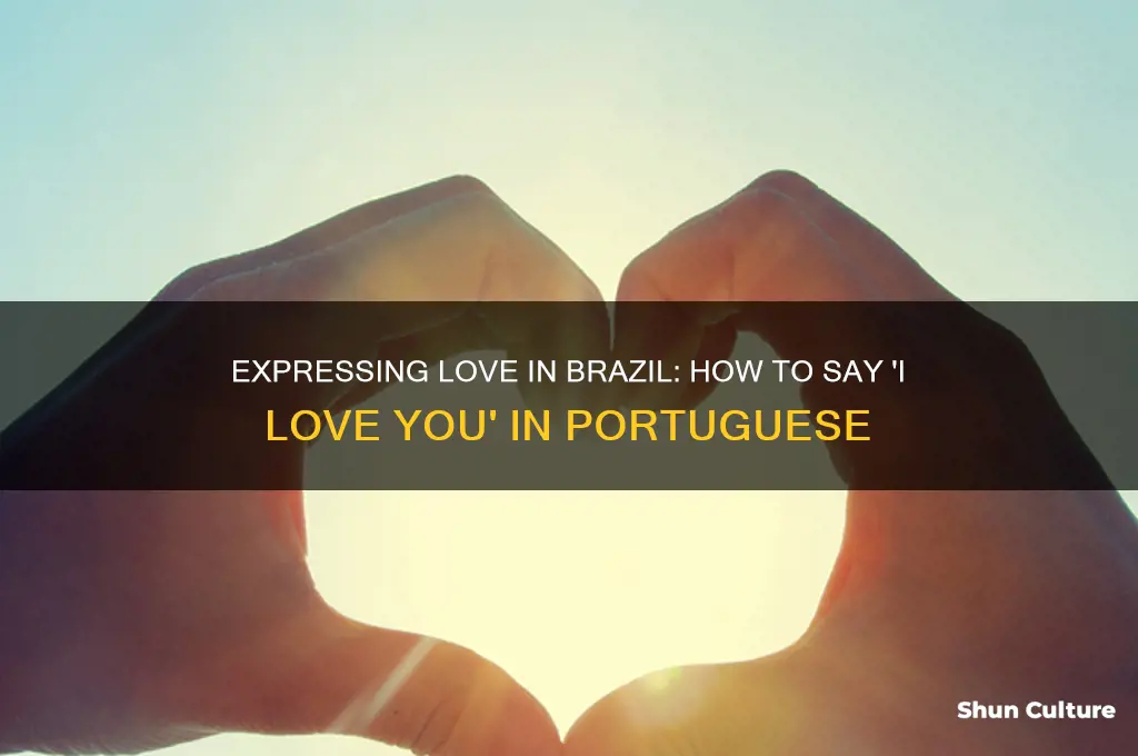 how do you say I love you in brazil
