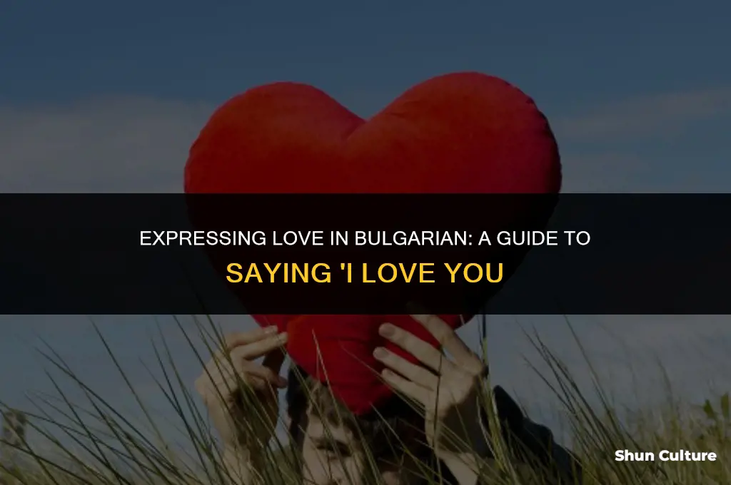how do you say I love you in bulgarian