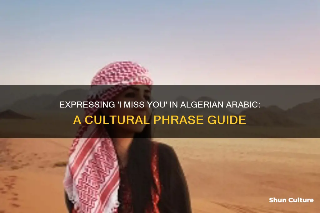 how do you say I miss you in algerian arabic