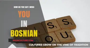 How to Express 'I Miss You' in Bosnian: A Language Guide