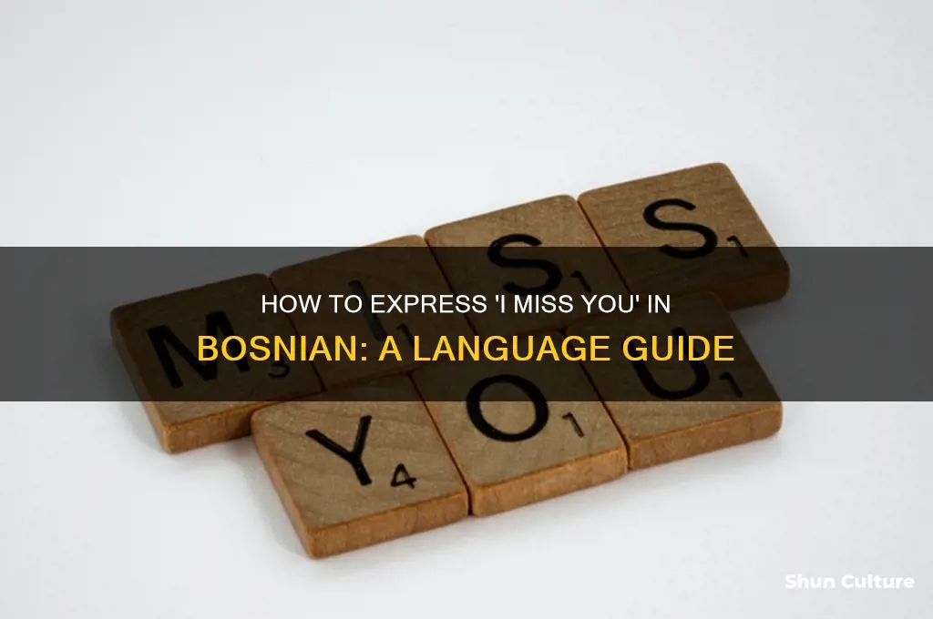 how do you say I miss you in bosnian