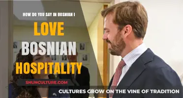I Love Bosnian Hospitality": Expressing Gratitude in the Bosnian Languag