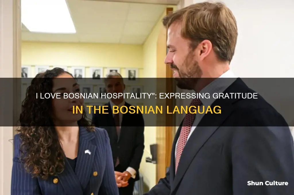 how do you say in bosnian I love bosnian hospitality
