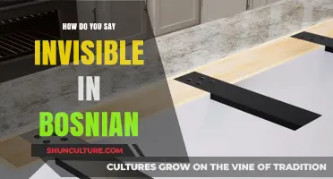 How to Say Invisible in Bosnian: A Quick Language Guide