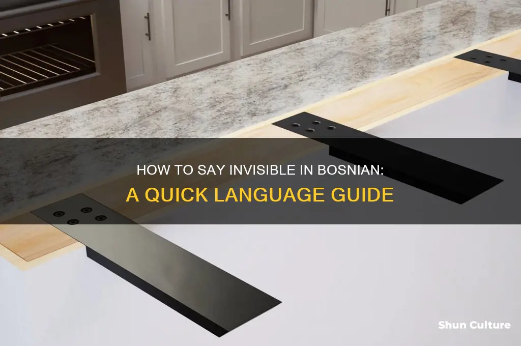 how do you say invisible in bosnian
