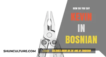 Kevin in Bosnian: Unlocking the Translation and Cultural Significance