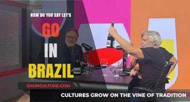 Vamos Lá! How to Say 'Let's Go' in Brazilian Portuguese