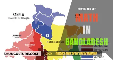 Exploring Bangladesh's Math Terminology: Language, Culture, and Education Insights