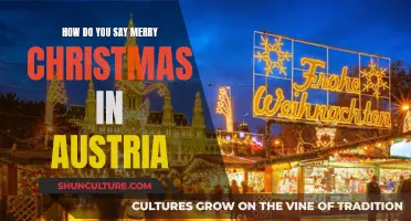 Merry Christmas in Austria: Unique Ways to Celebrate and Greet