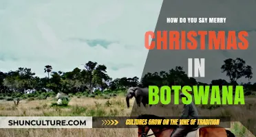 Festive Greetings in Botswana: How to Say Merry Christmas Locally