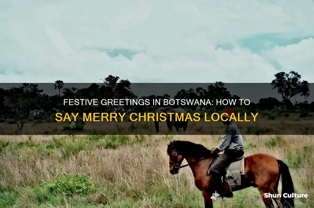 how do you say merry christmas in botswana
