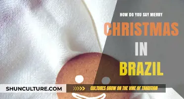 Feliz Natal": How to Say Merry Christmas in Brazil Like a Loca