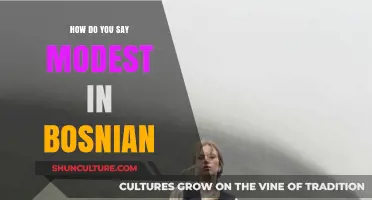How to Express Modesty in Bosnian: A Quick Language Guide