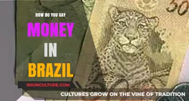 How to Say Money in Brazil: A Quick Language Guide