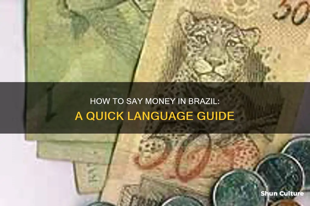 how do you say money in brazil