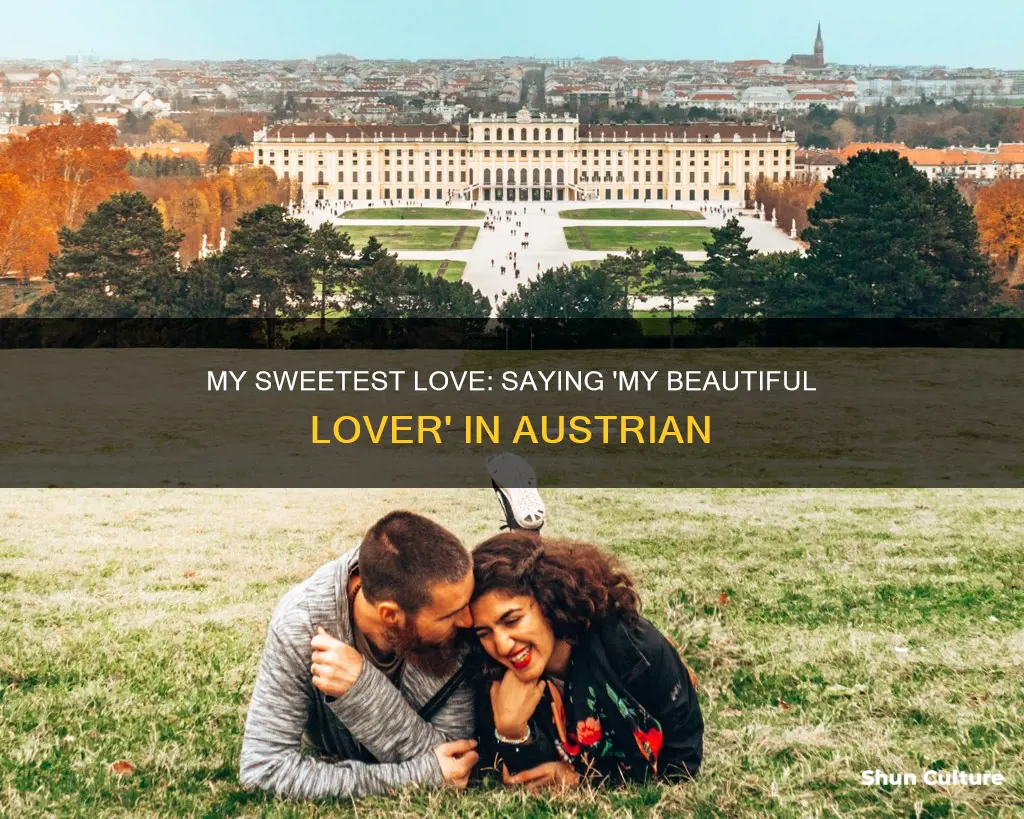 how do you say my beautiful lover in austrian