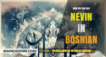 How to Pronounce Nevin in Bosnian: A Quick Language Guide