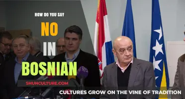 Mastering the Art of Saying No in Bosnian: Essential Phrases and Tips