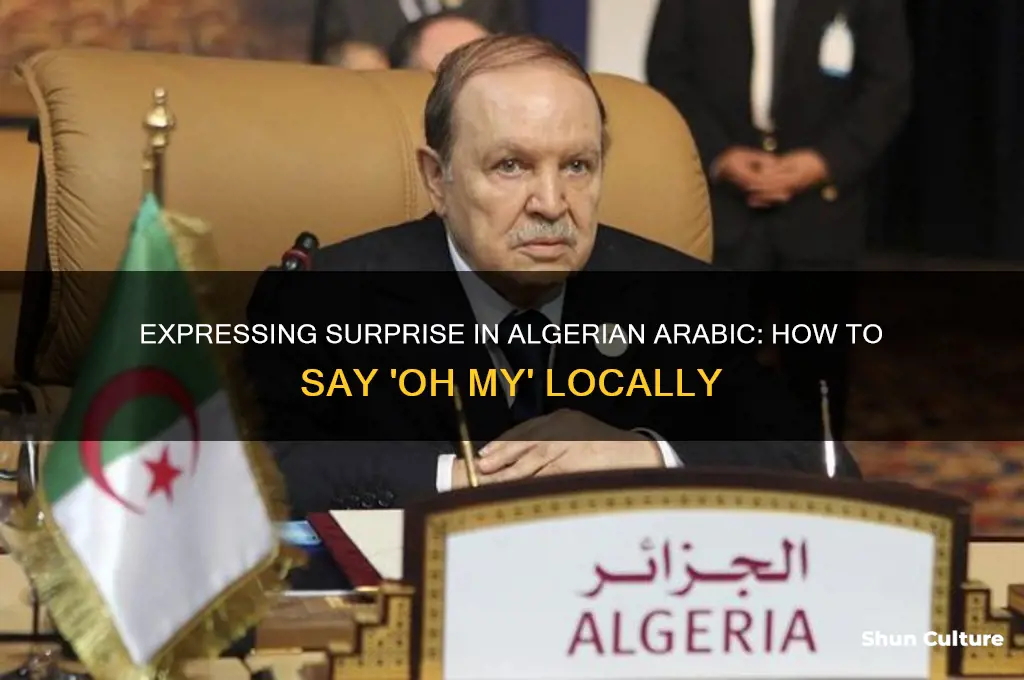 how do you say oh my in algeria