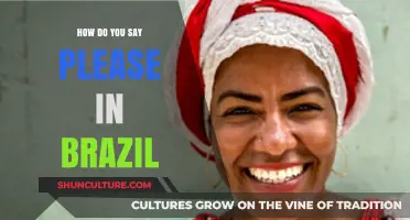 Mastering Politeness: How to Say 'Please' in Brazilian Portuguese