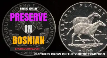 How to Say 'Preserve' in Bosnian: A Quick Language Guide