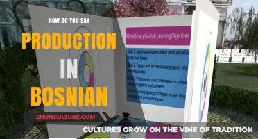 How to Say 'Production' in Bosnian: A Quick Language Guide