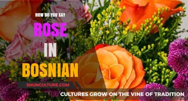 How to Say Rose in Bosnian: A Quick Language Guide