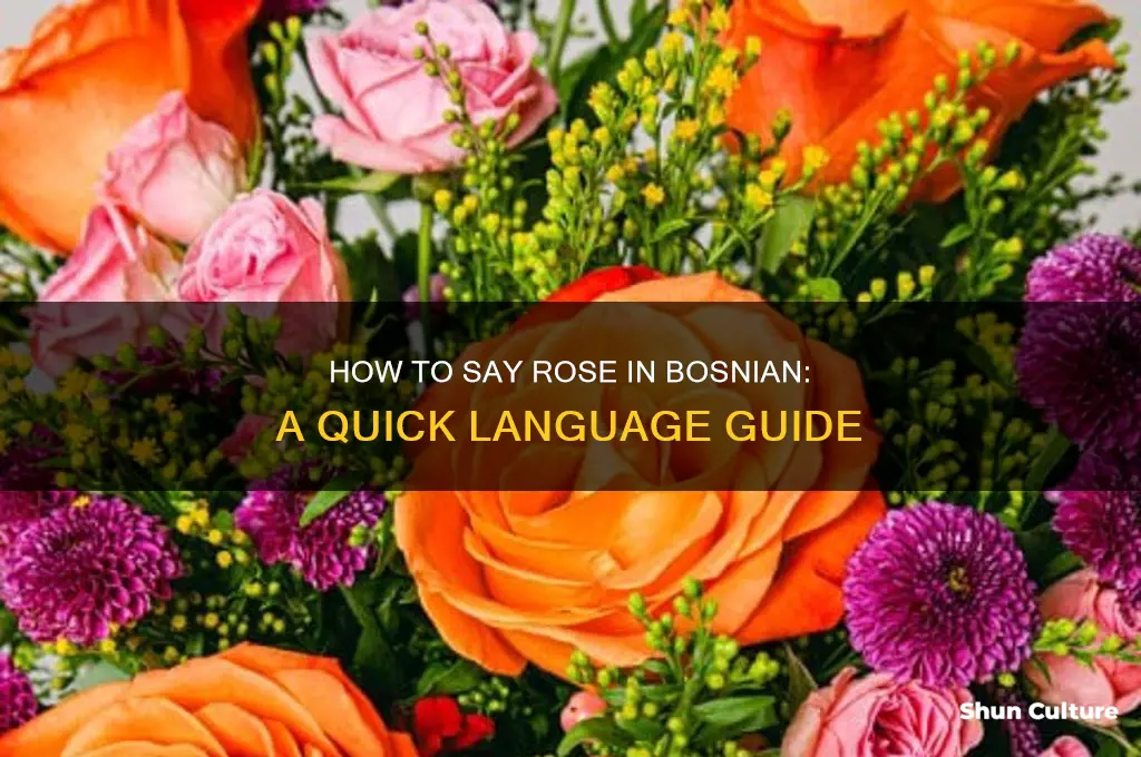 how do you say rose in bosnian
