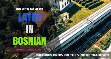How to Say 'See You Later' in Bosnian: A Quick Guide