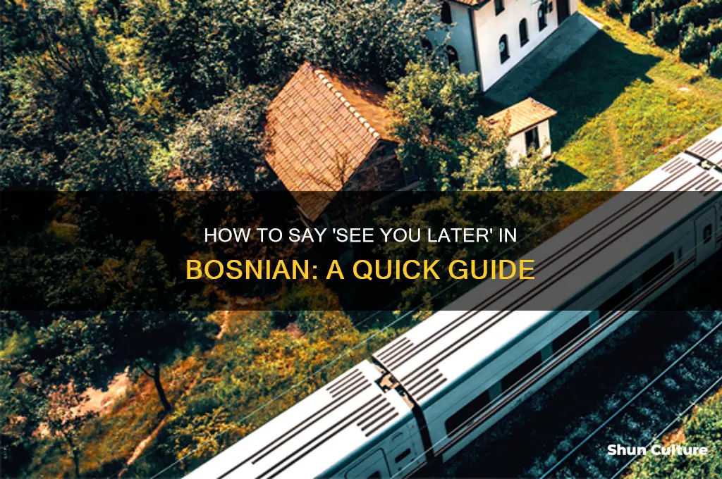 how do you say see you later in bosnian