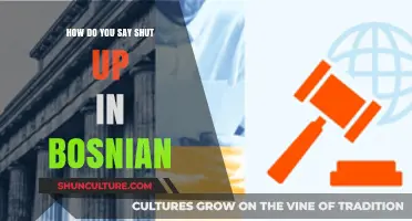 How to Say 'Shut Up' in Bosnian: A Quick Language Guide