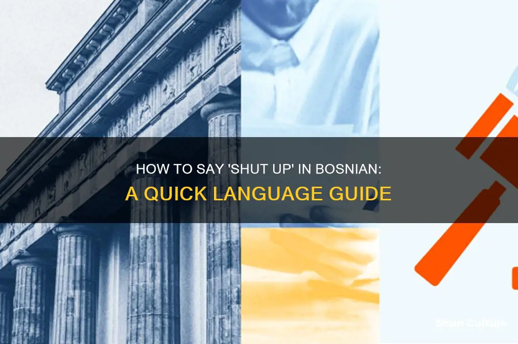 how do you say shut up in bosnian