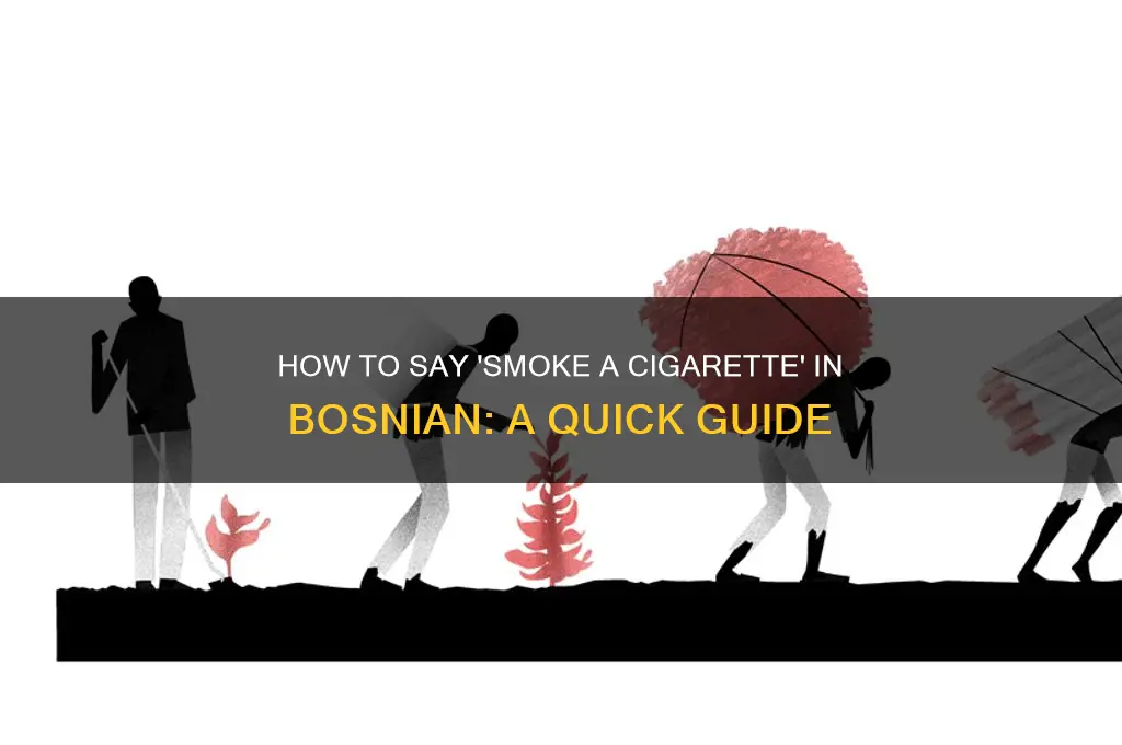 how do you say smoke a cigarette in bosnia
