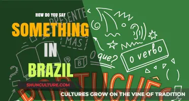 Mastering Brazilian Portuguese: How to Say Anything Like a Local